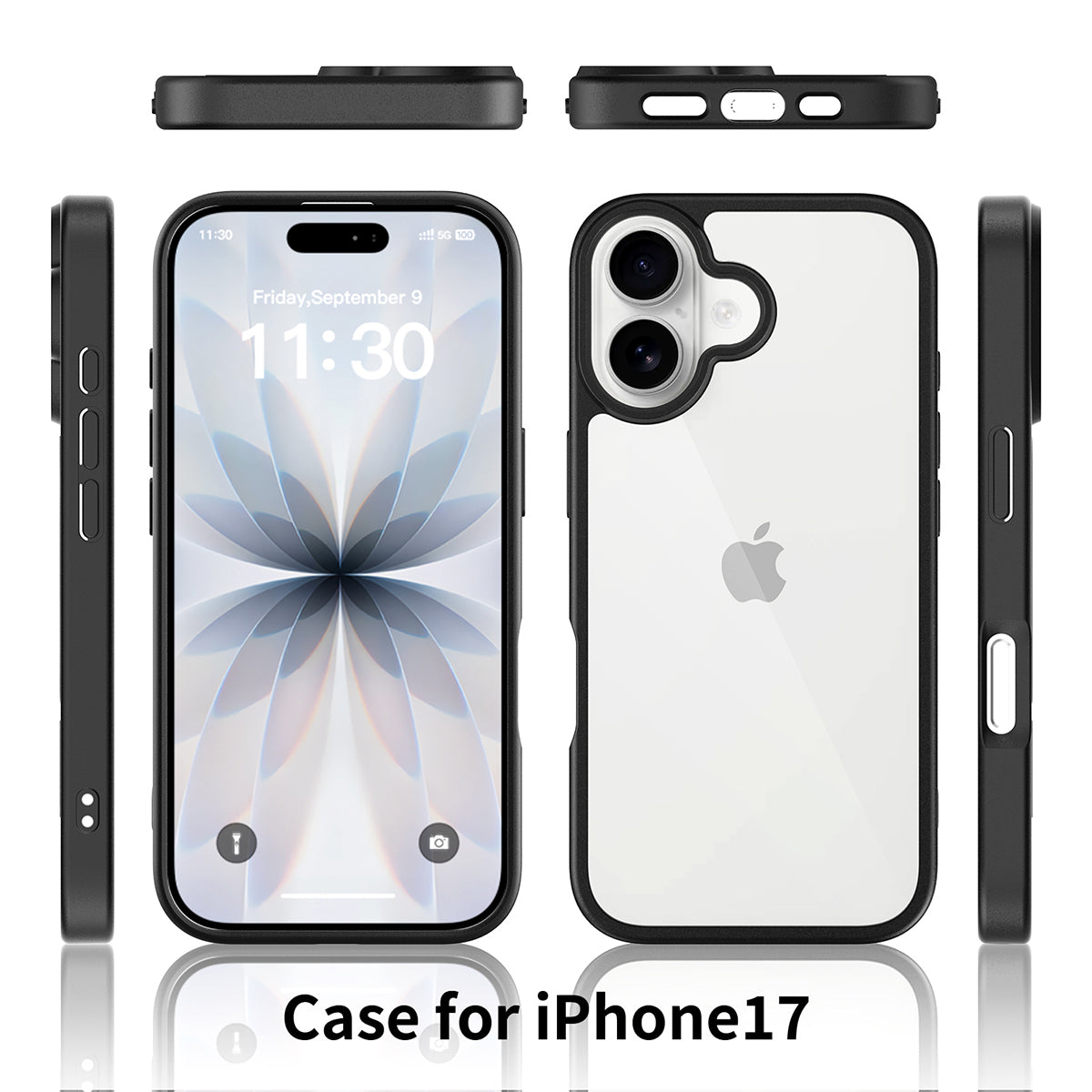 iPhone 17 Pur Series